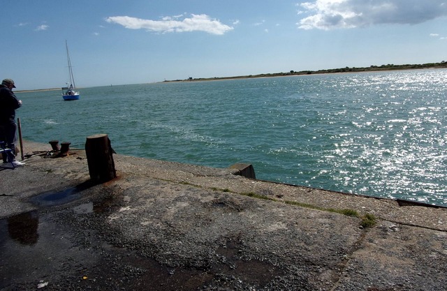 Old house, wooded garden, quiet 3 km from the Beach / Sea