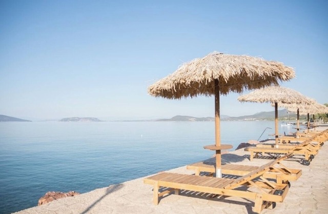 One-Bedroom Apartment with Sea Views and Olive Grove Serenity for Up to 4 Guests