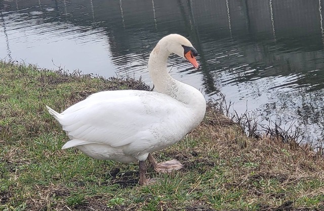 OzaBonair Vierzon Centre Ville