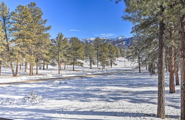 Pagosa Springs Gem w/Yard, Decks + Mtn Views!