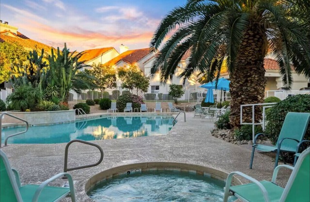 Palmview Oasis