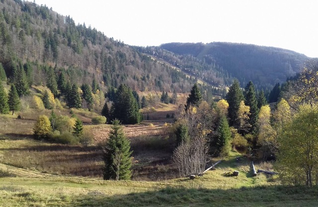 Panoramic view apartment on the slopes of Labresse and La Tourbière
