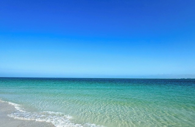 Paradise Awaits! Pristine Condo+Resort Amenities. 1 BR w/New Sleeper Sofa.