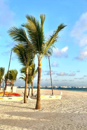 paradise close to the beach pool free parking,wifi- punta cana