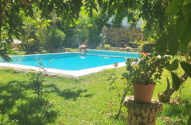 Paradise Cocoon: Luxury Villa with Swimming Pool in Algiers