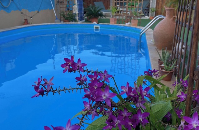 Paradise tranquility with private pool starts with this vacation rental in Aruba