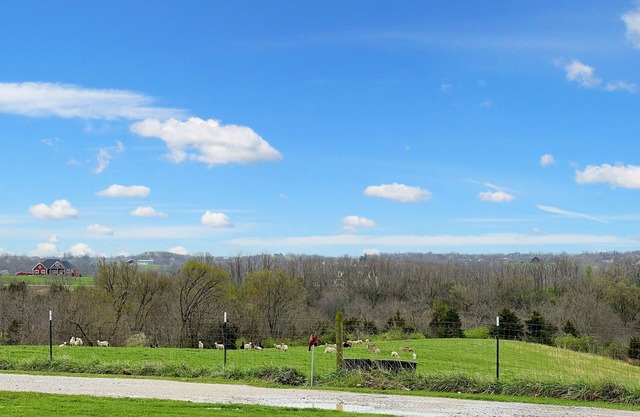 Pastoral Views farmhouse, idyllic country oasis