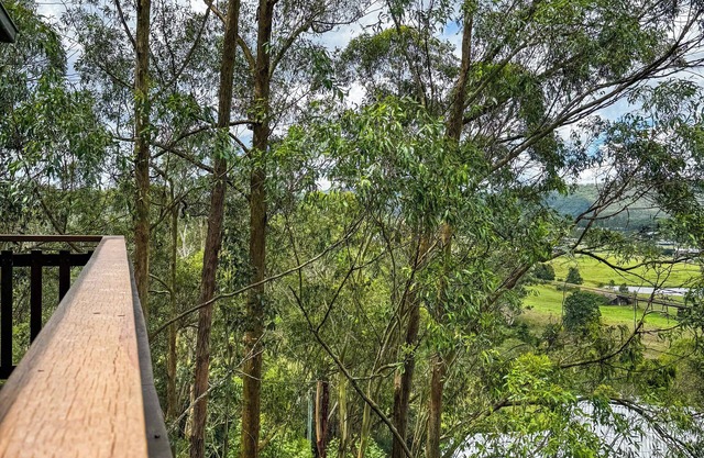 Paterson Skywalk & Bush Bedroom