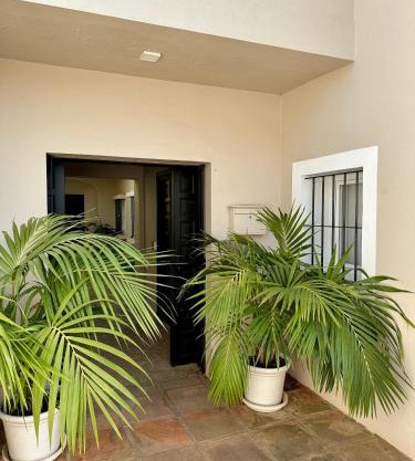 Patio Room Sotogrande