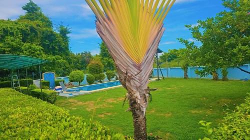 Pattaya Paradise Pool villa with Garden 3BR