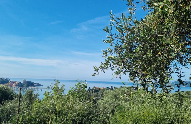 Patty's Cottage with private parking