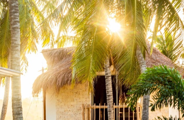 PB-C4 HABITACIÓN TIPO CABAÑA CON DESAYUNO Y JACUZZI PRIVADO