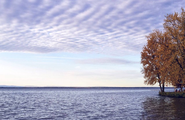Peaceful couples retreat on Oneida Lake. Insta-worthy views. Cozy interior.