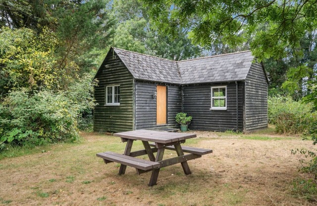 Peaceful lodge in the New Forest