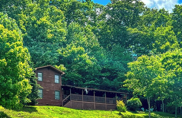 Peak Leaf Season + Peak Comfort @ Bear Necessities