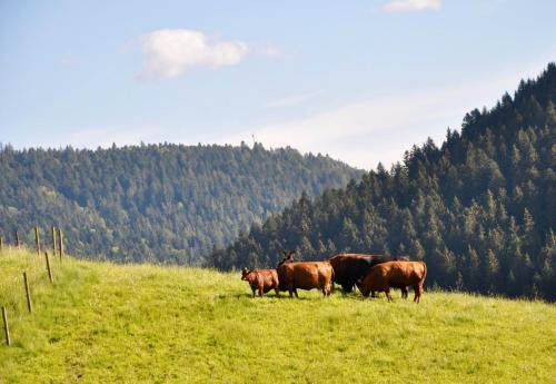 Pension Vogtsmichelhof - Leibgeding