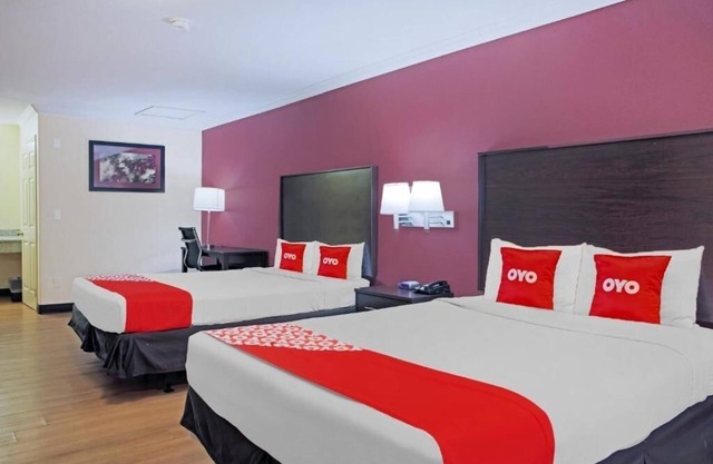 Pet-Friendly McAllen Hotel with a Smoke-Free Environment