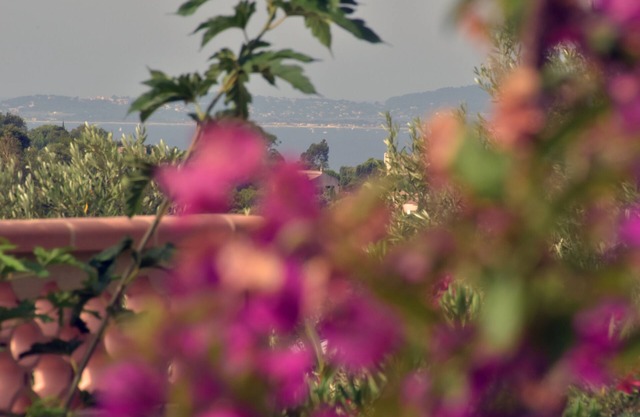 Petit mas au Paradis Avec Piscine