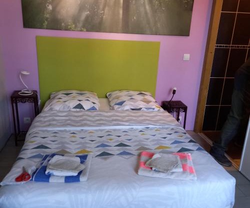 Petit studio parmi les pins et les cypres