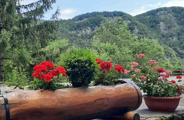 Piandinovello nice stay