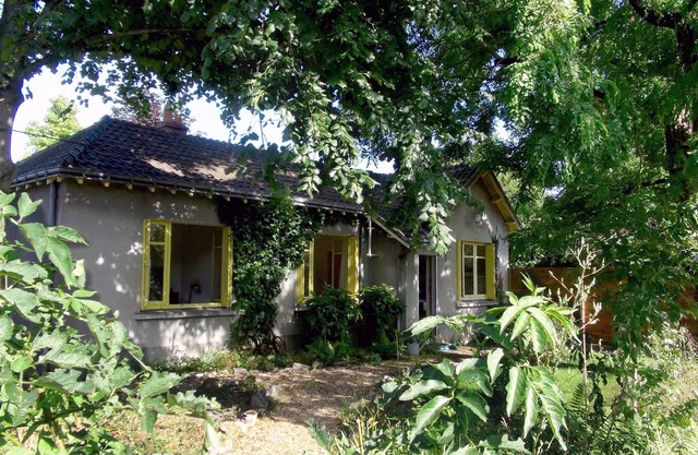 Piece of Nature in the City