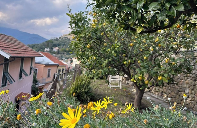 Piera's House: relaxation, hill, view