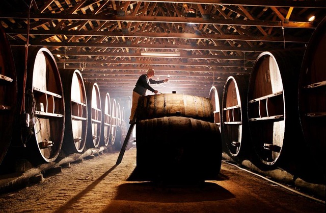 Pieter van Gent Winery & Vineyard