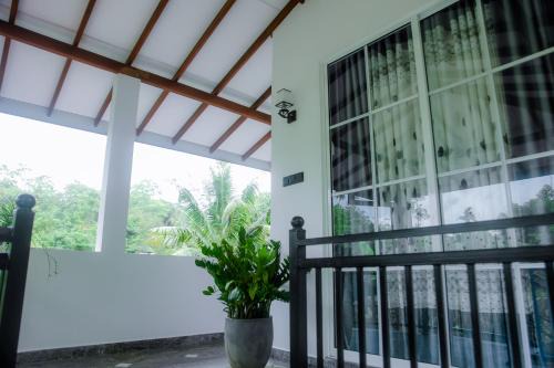 Pinidu Villa