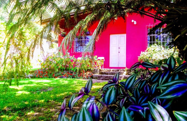 Pink house