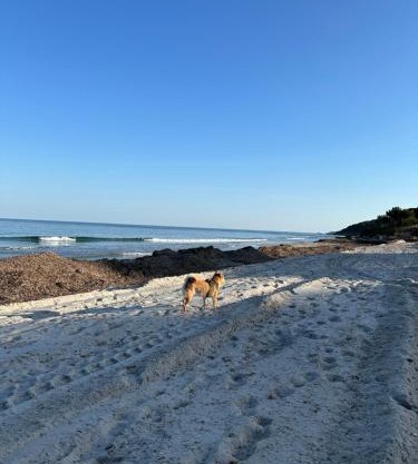 Plage des Salins Parc des Salins St Tropez