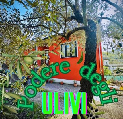 Podere degli Ulivi Family