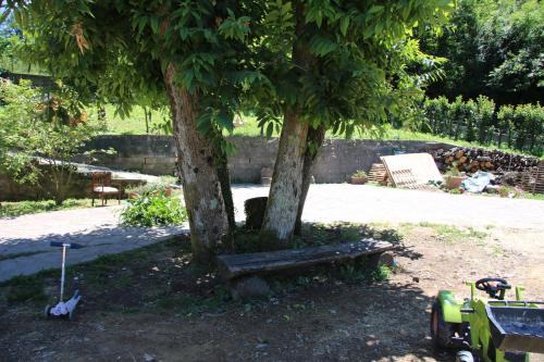 podere il sorriso degli angeli