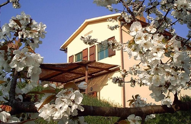 Podere Mazzana: houses in Marti - Montopoli Val d'Arno