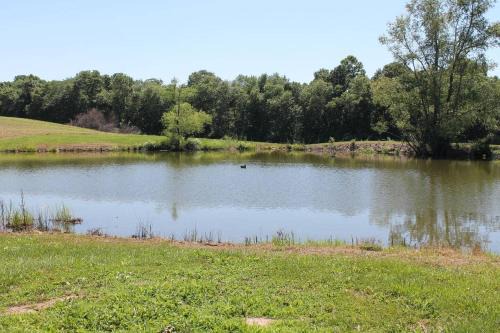 Pond View Loft - Screen Porch, Fire Pit & Fishing
