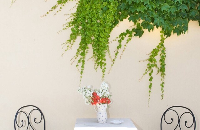 Potrero Grande - Hazelnut Apartment