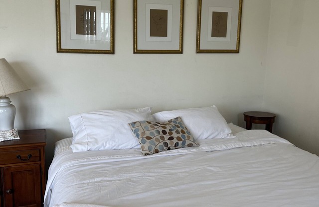 PRIVATE 1bedroom1ba w fireplace! 1 KING SIZE bed OCEAN BREEZES & SUNSET VIEWS