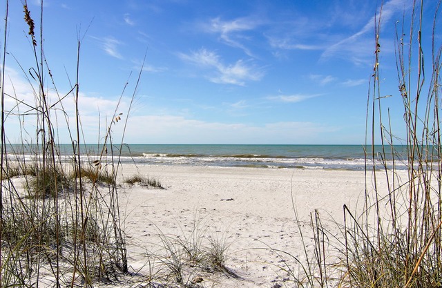 Private Beach access Rated #1 in Florida/Pets welcome with fee
