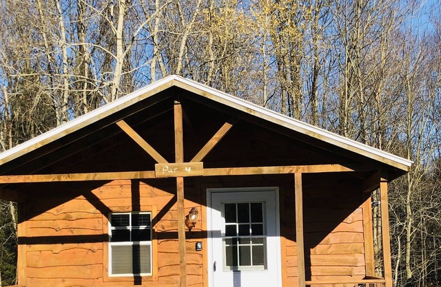 Private cabin on acreage Bemus point Chautauqua New York