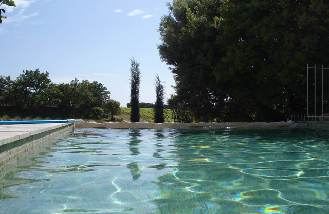 Private heated infinity pool. Jacuzzi, lavender, mountains and vineyards.