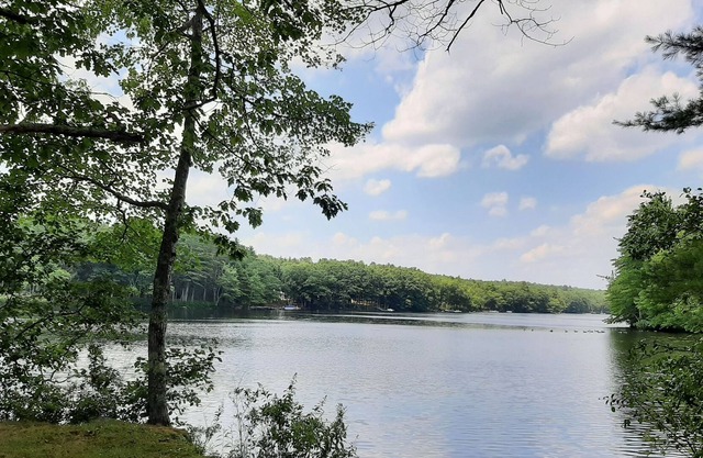 Private Lakefront Cottage Retreat