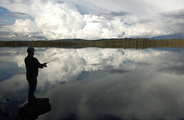Private lakeside cabin next to the fjells