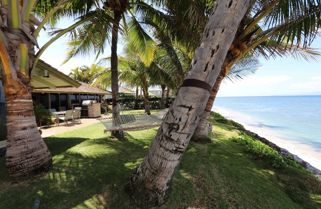 Private Oceanfront w pool, hot tub, sunsets and Turtles