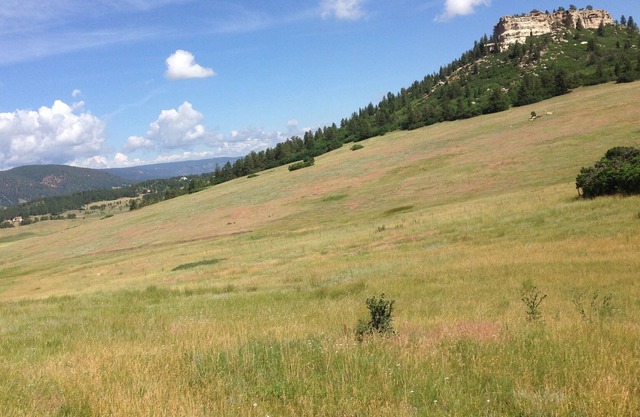 Private, quiet, modern ranch retreat!