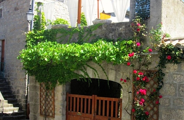"PROMOTION" Charming House in the heart of southern Ardèche