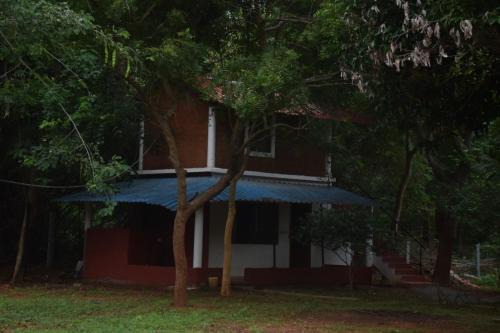 Purity Stay by Crib Community