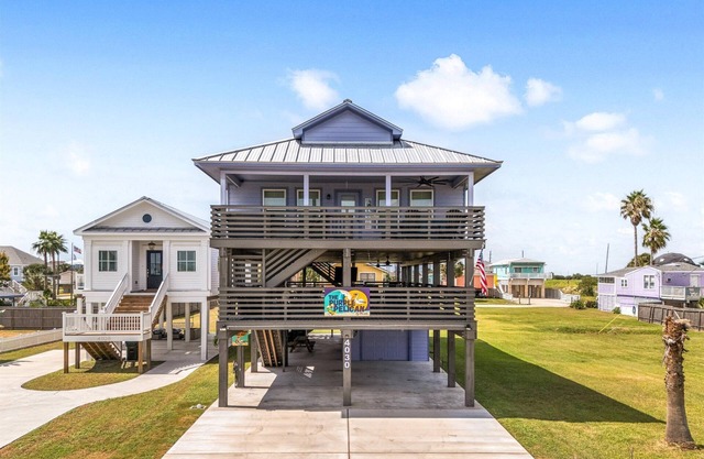 Purple Pelican By The Sea
