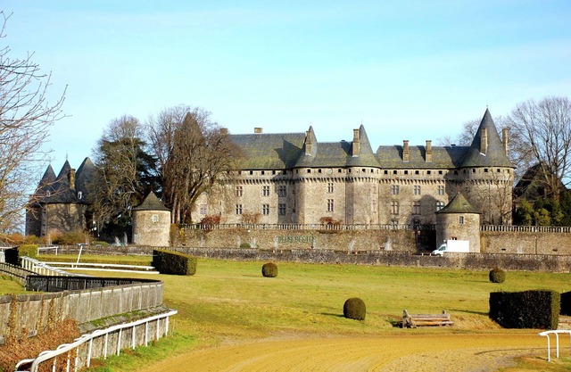 Quaint Cottage in Juillac with Private Garden