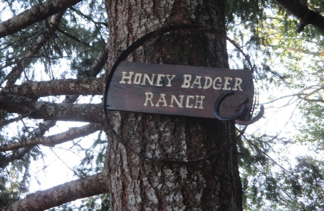 Quiet 1 bedroom cabin located on the South Fork of the Coquille River