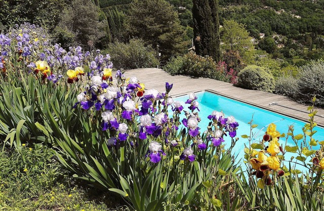 Quiet 6-person family home with swimming pool