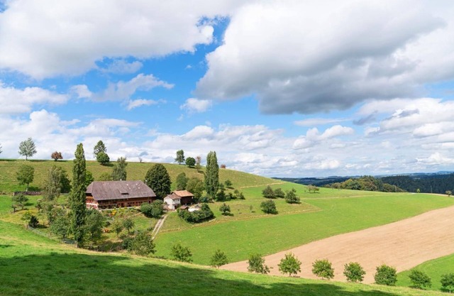Quiet holiday flat in the countryside and with mountain views